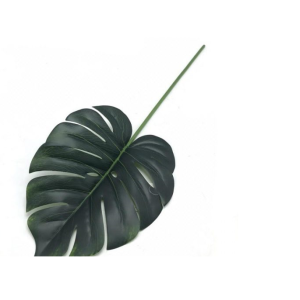 FOLHA COSTELA DE AD?O PEQ.