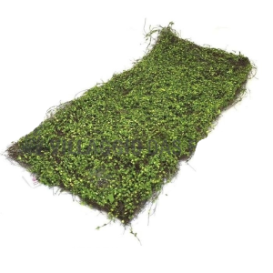 TAPETE PLACA DE GRAMA FOLHINHA