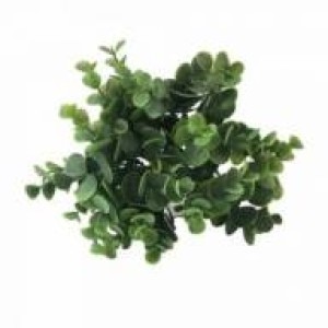 PICK EUCALIPTO C/6 GALHOS OUTONADO