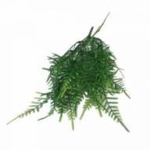 FOLHAGEM PLáSTICA C/7 GALHOS SY07032 SAMAMBAIA