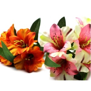 ASTROMELIA PEQUENA C/7 BOTOES