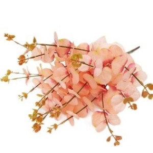 EUCALIPTO C/5 GALHOS E/0615 COLORIDO