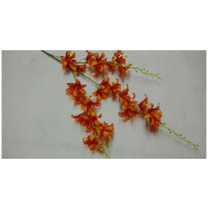 LIRIO GALHO LONGO OUTONAL