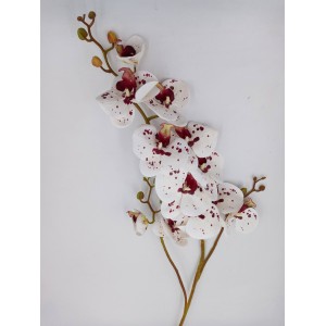 ORQUÍDEA C/12 03873 3D RAJADA