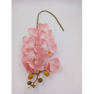 ORQUíDEA C/8 BOT?ES 03831 PHALAENOPSIS PEQ.