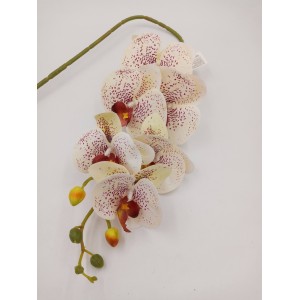 ORQUÍDEA C/6 BOTÕES 03898 3D