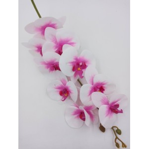 ORQUíDEA C/9 BOT?ES SY01447 SILICONE