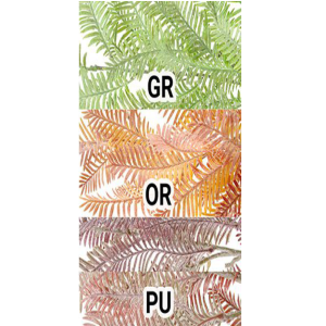 GALHO SAMAMBAIA C/5 GALHOS E/0876 NEVADA