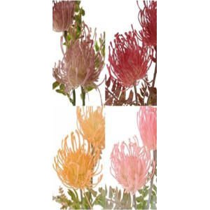 PROTEA ALFINETEIRA E/0927 C/2 40CM