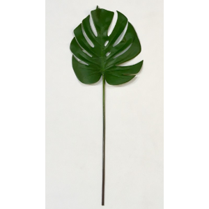 FOLHA UNITARIA DE COSTELA DE ADAO  SILICONADA