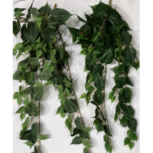 PENDENTE DE FOLHAGEM  FILODENDRO