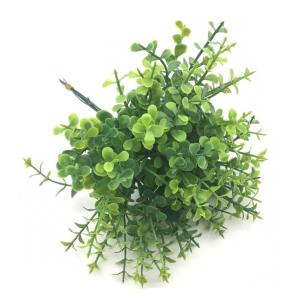 PICK C/6 GALHOS EUCALIPTO MINI