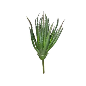 SUCULENTA 3003 CACTO ALOE VERA 30CM