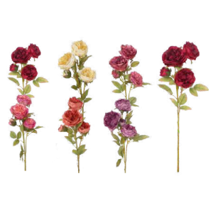 PEÔNIA C/3+1 BOTÃO AA-0064 DIANA 70CM