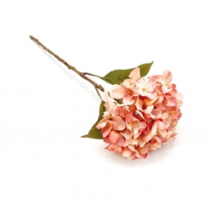 MINI HORTêNCIA  UNITARIA