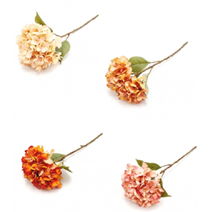 MINI HORTêNCIA  UNITARIA