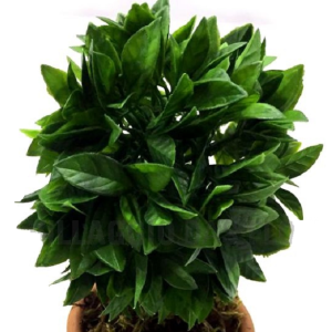 TOPIARA EL0014 FOLHA FICUS 25CM