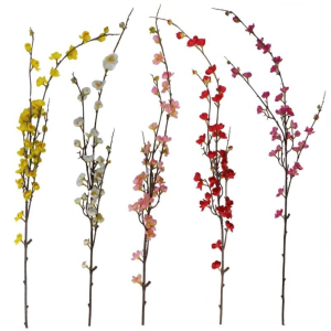 GALHO CEREJEIRA AA-0060 MESCLADA