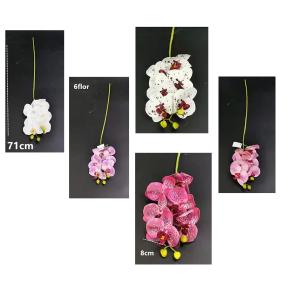 ORQUÍDEA C/6 BOTÕES 72207 SILICONE