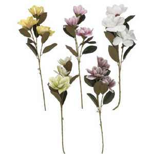 MAGNOLIA  COM 3 HASTE