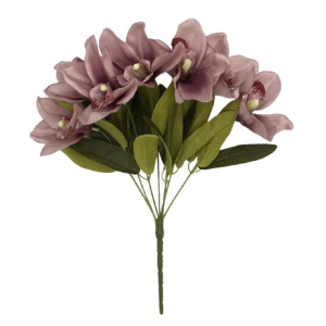 ORQUíDEA C/7 GALHOS 2331 CYMBIDIUM