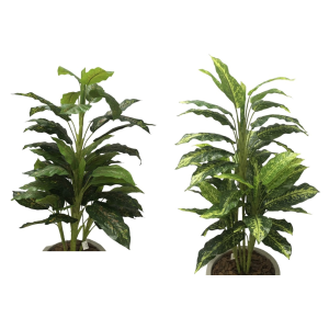 ÁRVORE COMIGO NINGUEM PODE