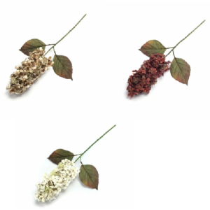 HORTÊNCIA X1 W300-170 OUTONADA