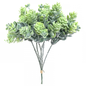 PICK C/6 GALHOS SUCULENTA