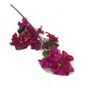 GALHO BOUGAINVILLE PEQUENA