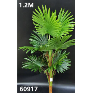 ÁRVORE PALMEIRA LEQUE