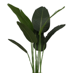 ÁRVORE 0371-51 BANANEIRA