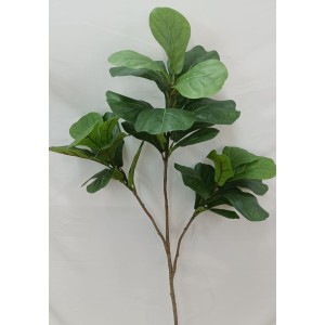 ÁRVORE FICUS LYRATA