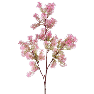 GALHO, FOLHAS, CORAL COM 3