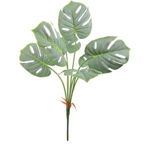 FOLHAGEM COSTELA DE ADÃO  SILICONADA