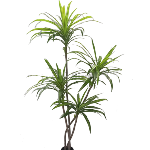 ÁRVORE  YUCCA 3 GALHOS