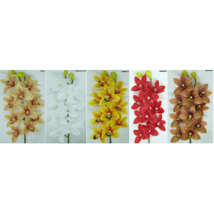 ORQUIDEA CYMBIDIUM COD2650 X10 SILICONADA