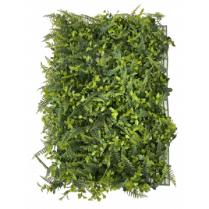 TAPETE DE GRAMA SAMAMBAIA FICUS