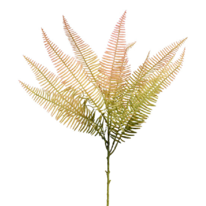 HASTE GALHO DE SAMAMBAIA