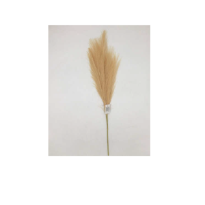 HASTE DE CAPIM DOS PAMPAS