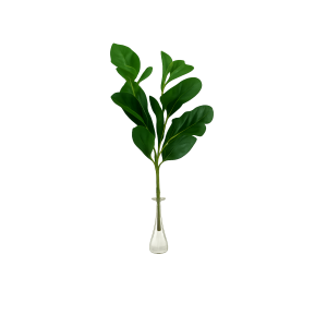 HASTE DE FOLHAGEM CLUSIA  TOQUE NATURAL