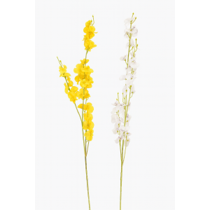 ORQUIDEA DE CHUVA DE OURO